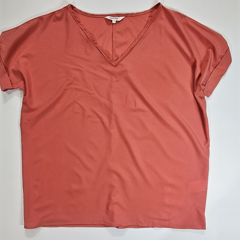 Amaryllis Blouse Womens Size Small V-neck Light Casual Designer Tee Layering Top
